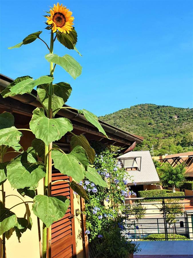 "La Terrazza Di Castiglione" Appartamenti Vacanza Castiglione della Pescaia Bagian luar foto