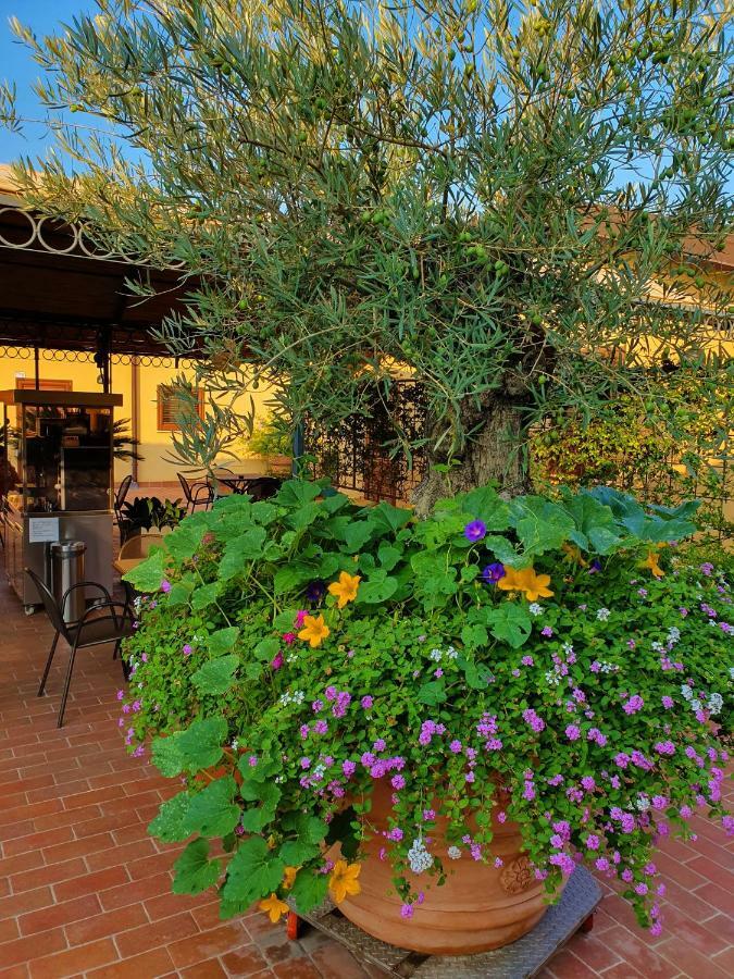"La Terrazza Di Castiglione" Appartamenti Vacanza Castiglione della Pescaia Bagian luar foto